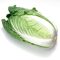 大白菜