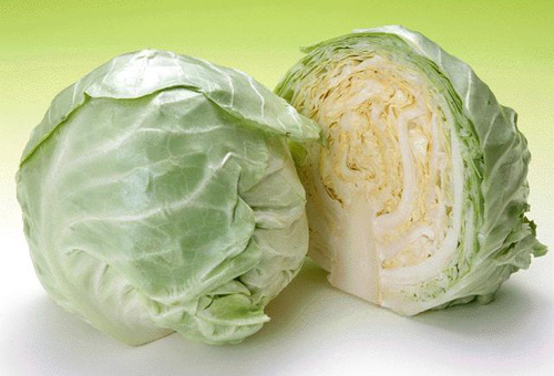 卷心菜