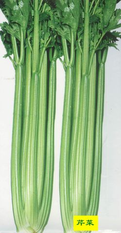 叶芹