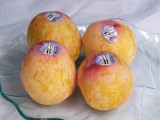 黄金李（恐龙蛋）