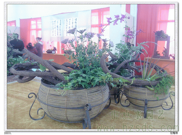 花卉摆放1