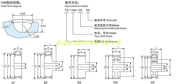 14m同步带 同步带轮