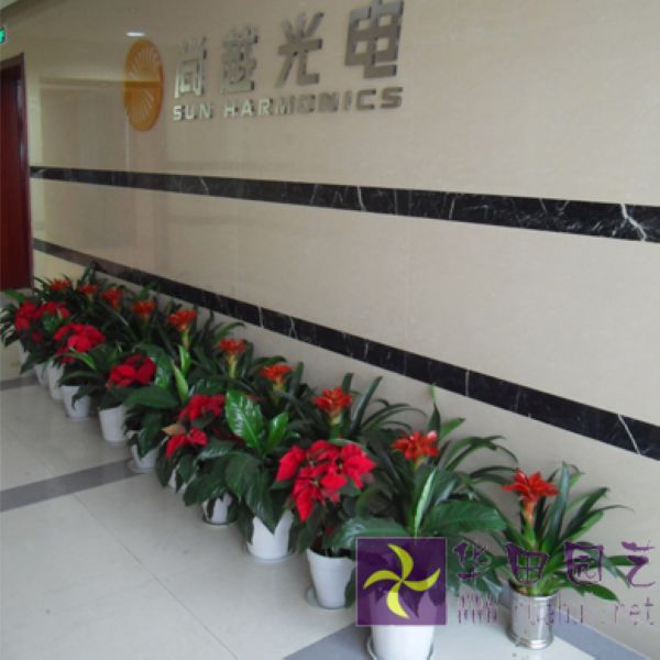  组合式租摆案例  5
