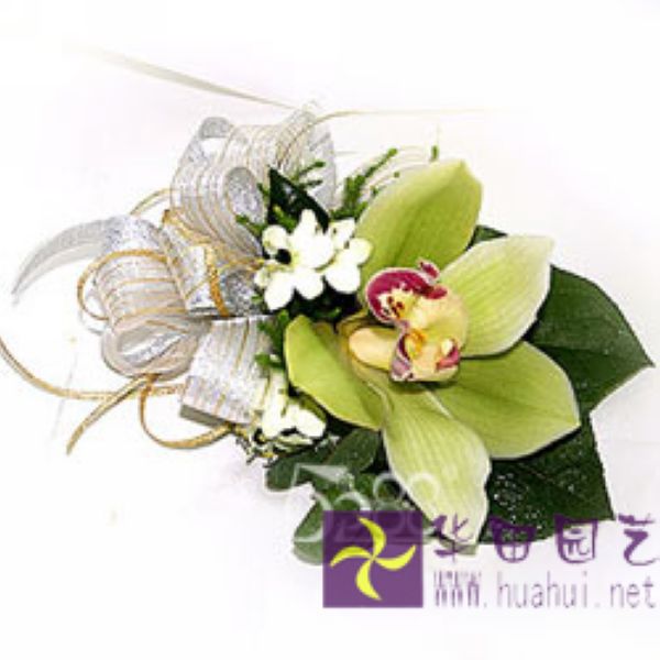   胸花蕙兰