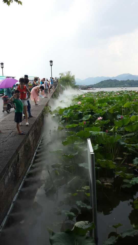 杭州断桥