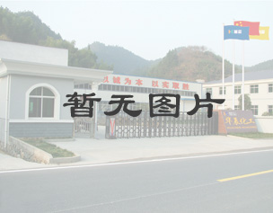 仲丁胺