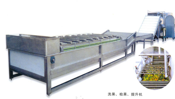 洗果检果提升机