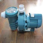 DEPA DE150-400泳池水泵  