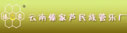 云南傣家芦民族管乐厂