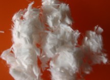 Polyester fiber 