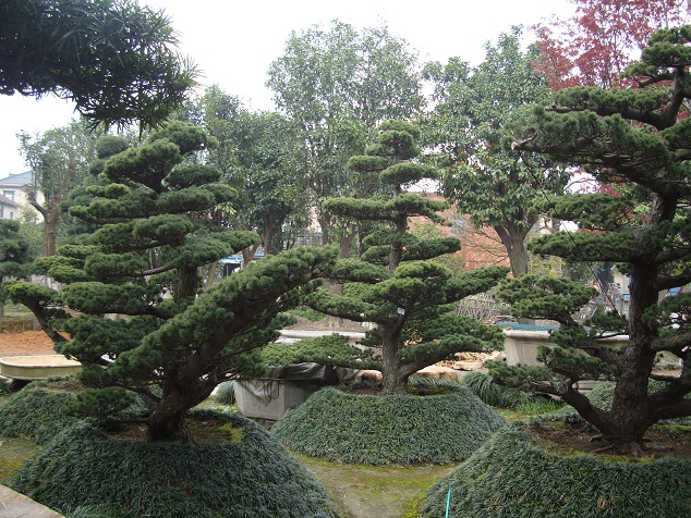 大阪松基地