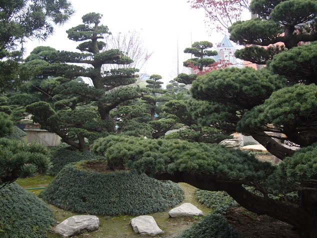 大阪松基地