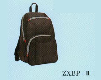 ZXBP-2
