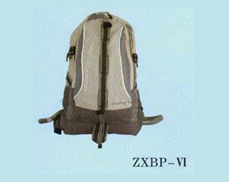 ZXBP-6