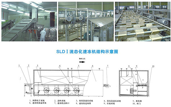供应流态化速冻机
